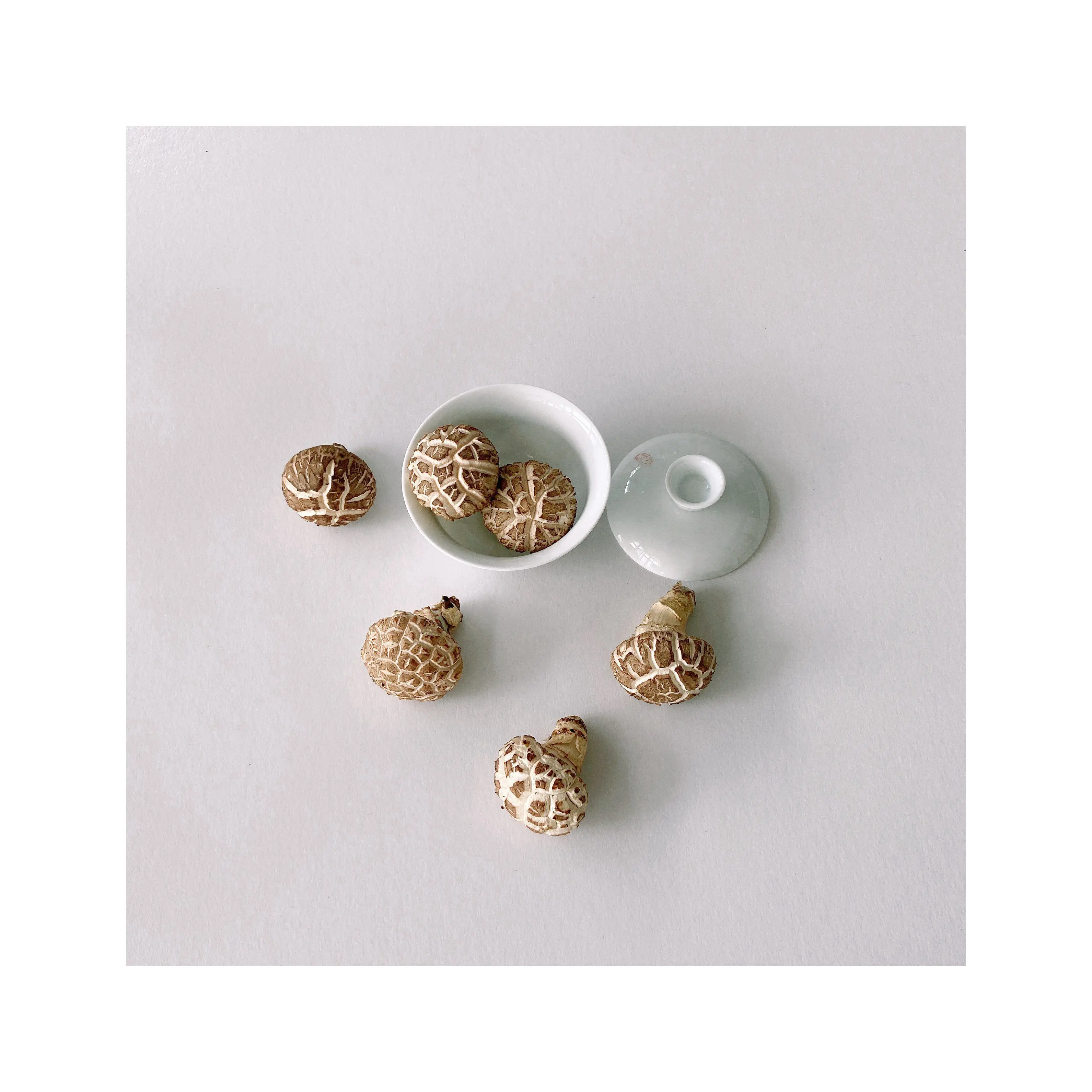 Guaranteed Quality Unique China Selected Fresh Hua Mushroom Shiitake Mushroom