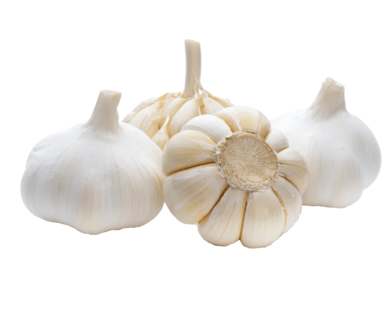 
buy discounts factory top quality fresh white garlic vegetables in stock 
