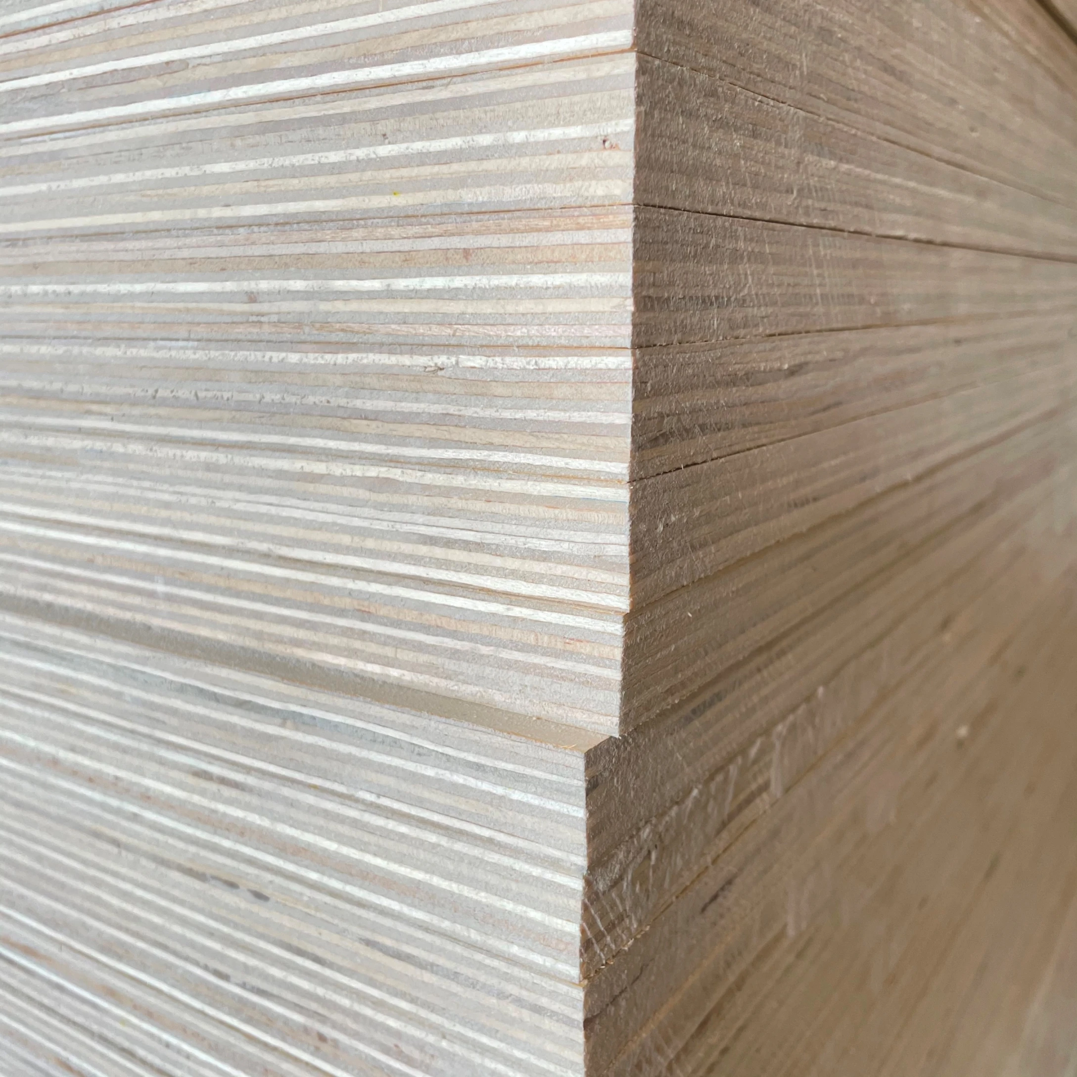 White birch plywood finish Laminated 4*8 wood board 3mm-18mm panel price birch Plywood