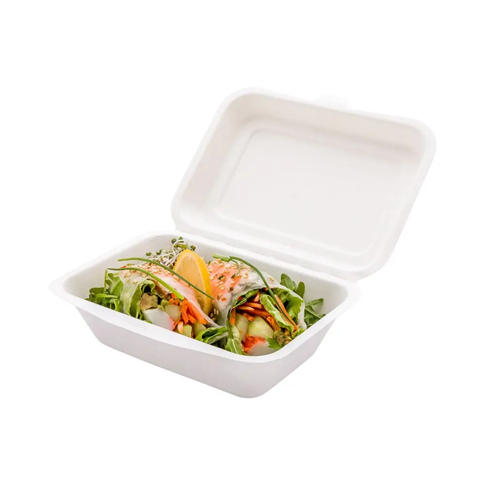 Compartment Biodegradable Disposable Microwave Fast Food Container