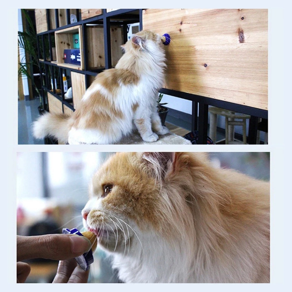 New Healthy Nutrition Pet Snacks Licking Fixed Cat Candy Snack Ball Gel Energy Increase