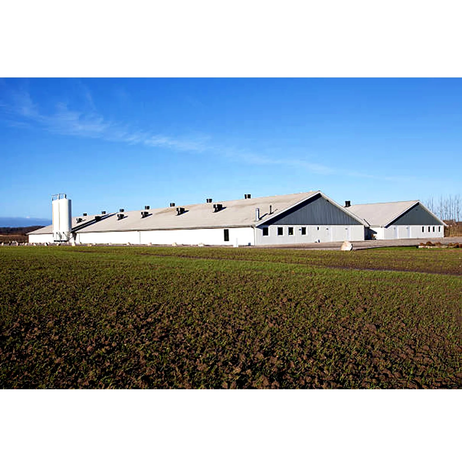 
 Конструкция из легкой стали, сборная птицеферма  