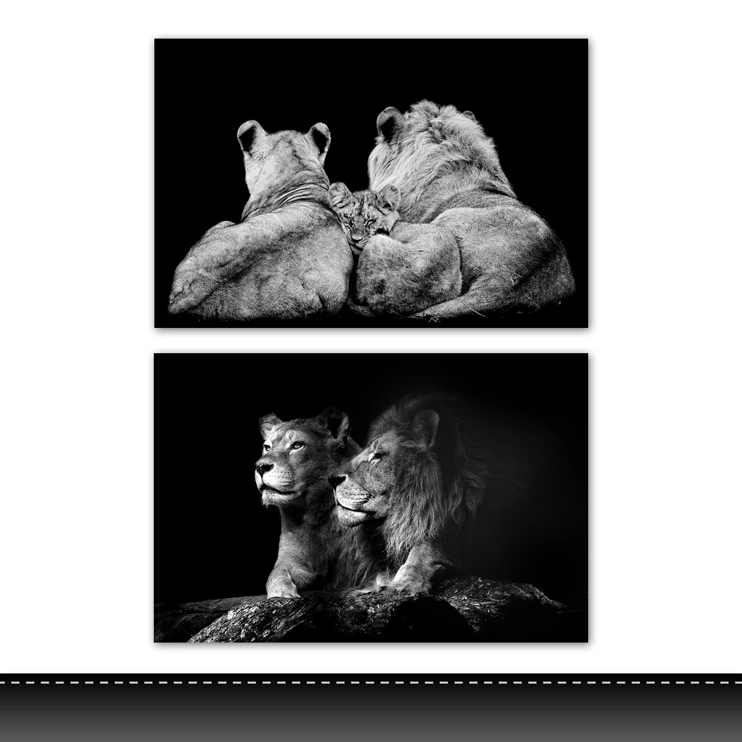 Modern Wild Animals  With Frame Canvas Picture Decorative  Painting