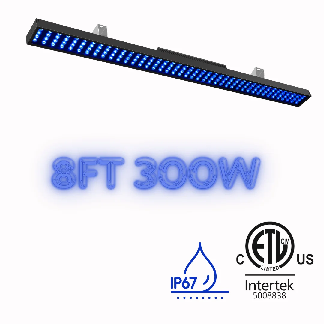 ETL cETL Listed 160w 300w Car Wash Lights Waterproof IP67 8FT DMX RGBW Led Light For Self-service Car Wash