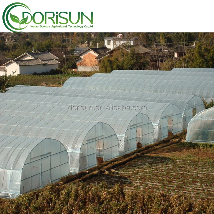 Hot single-span poly tunnel winter resistant inside sun shading greenhouse agricultural mist blower sprayer green house