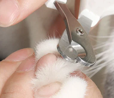 Factory Wholesale Blister Card Packaging Cat Nail Scissors Pet Cat Nail Clippers
