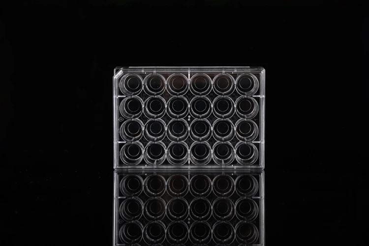 glass bottom cell culture dish