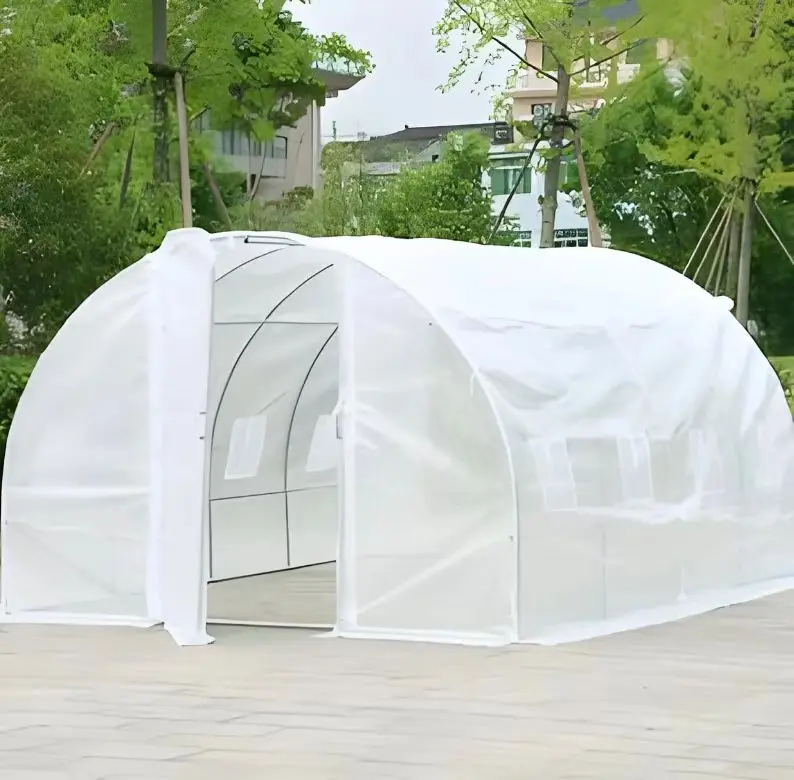 Large Single Span Agricultural Tunnel Greenhouse with Arch Roof Low Cost Steel and Plastic Film Material for Plant Usage