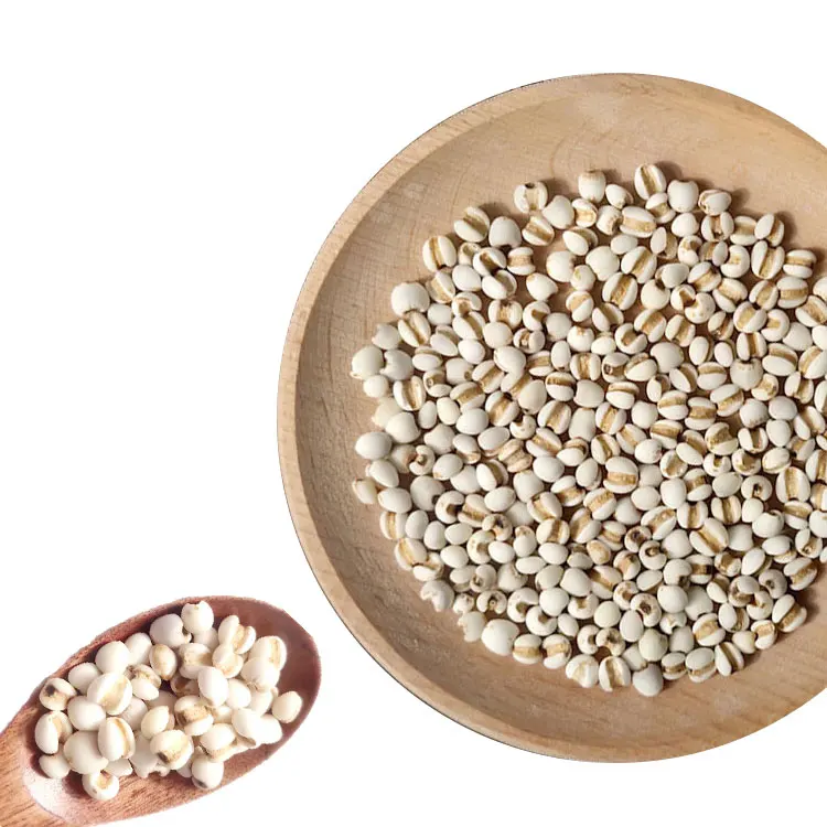 Coix Seed China Wholesale Natural Dried Coix Factory Price