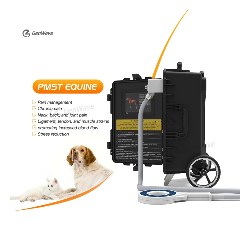 New PMST Equine Magnetic Therapy Machine PEMF Equine Physio Magneto Therapy For  Laminitis Replaceable Handles Machine