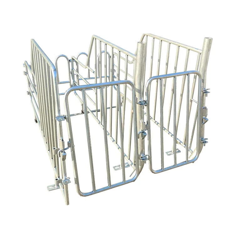 sow stall galvanized pig box swine gestation crates