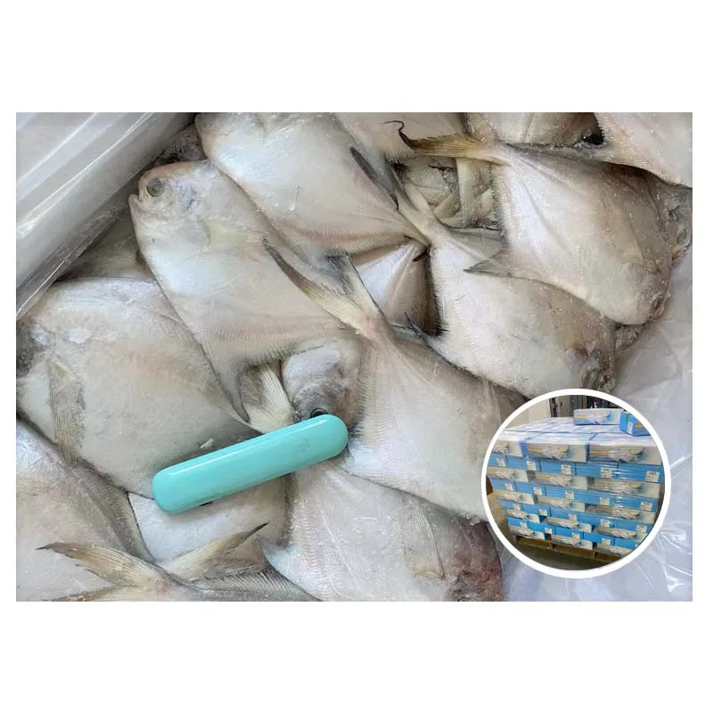 Factory Outlet 80-100g Frozen Chinese Pomfret Fish With Wholesale Price White Pomfret