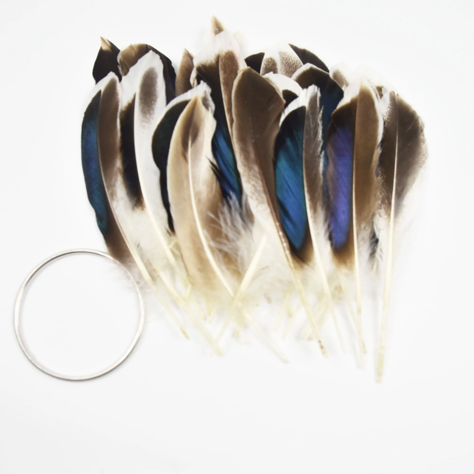 50 шт./упаковка перья фазана