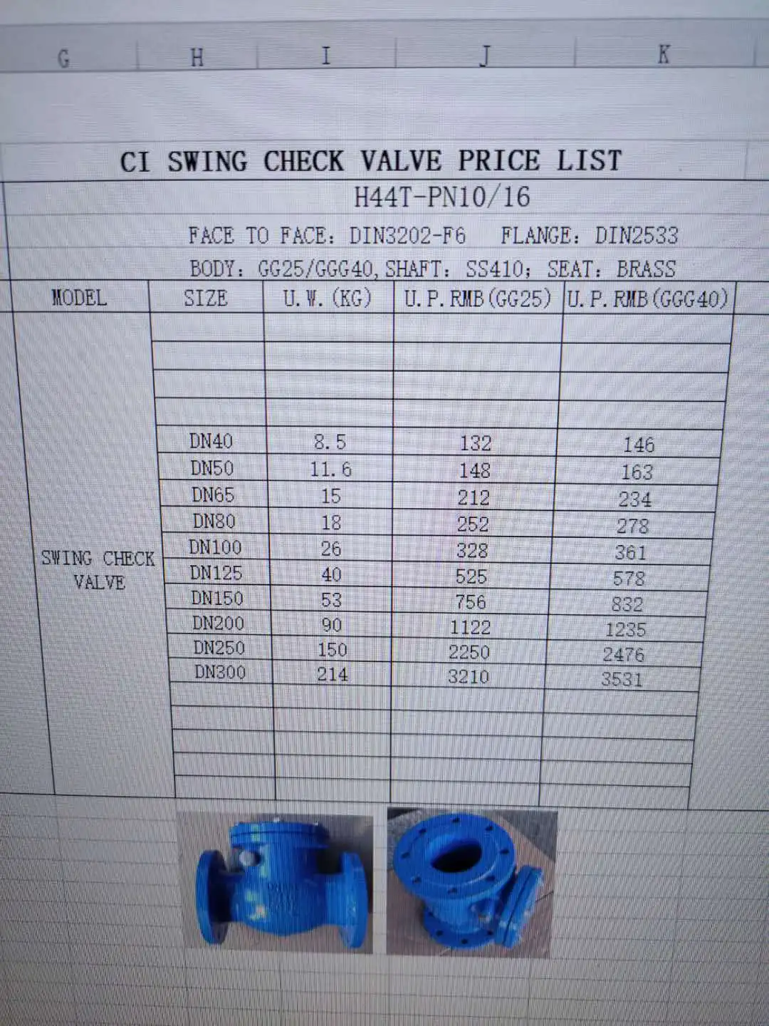 TOYO DIN cast iron Y strainer and DIN cast iron swing check valve quotation