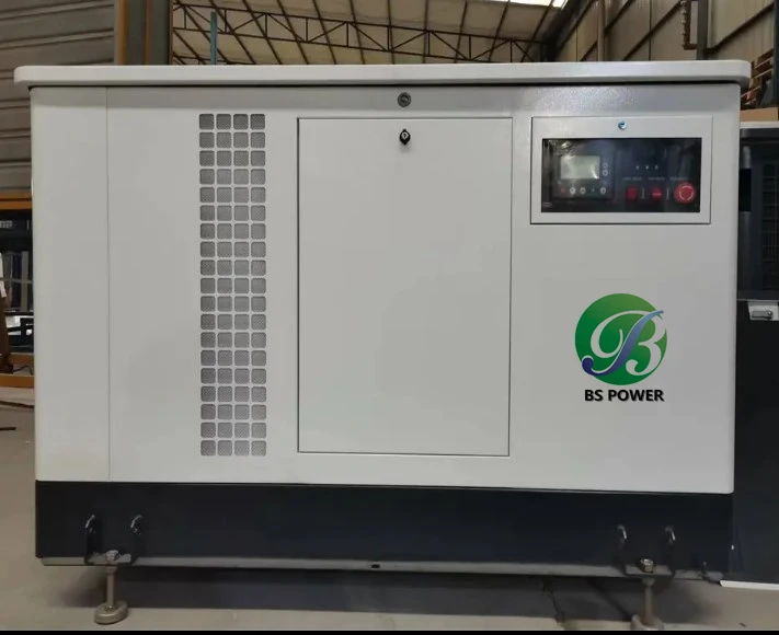EPA Certified 60HZ Single Phase 15KVA Portable LPG Propane Gas Generator 18KVA 20 KVA Natural Gas Powered Generators