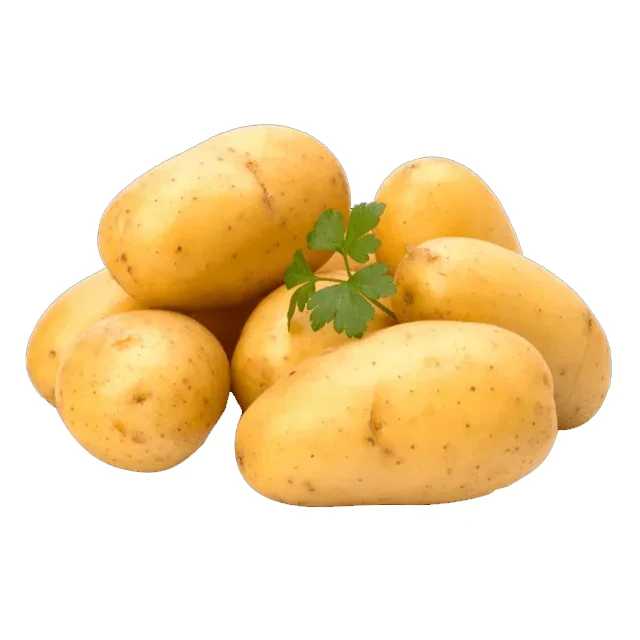 New crop Yellow fresh potato Wholesale fresh vegetables New fresh potato