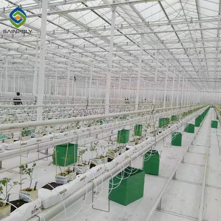 Самая дешевая горячая Распродажа Sainpoly сельскохозяйственная стеклянная теплица зеленый дом