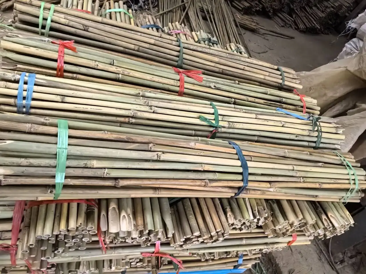 Wholesale Natural Dry Straight Raw  Bamboo plant support