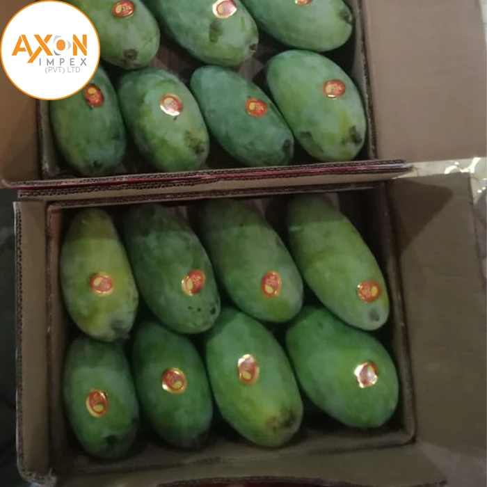 
Fresh From Pakistan Farm Honey Mango - Fresh Fruit 