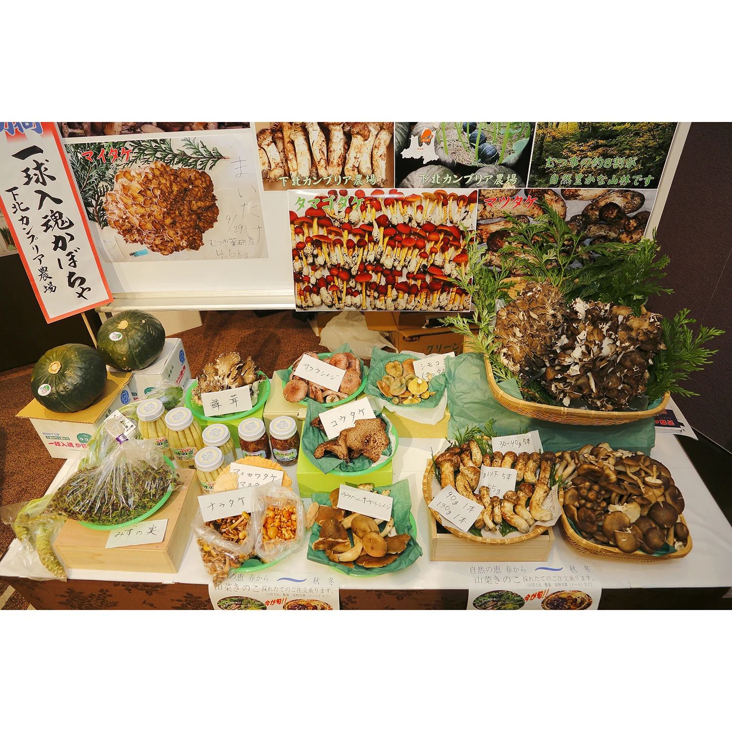 Japanese natural highest freshness wild fresh sell mushroom matsutake
