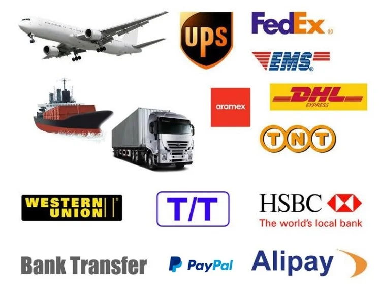 Shipping & Payment
