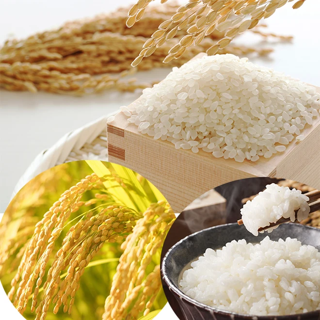 Top-quality packaged mineral-rich groundwater natural rice paddy seeds