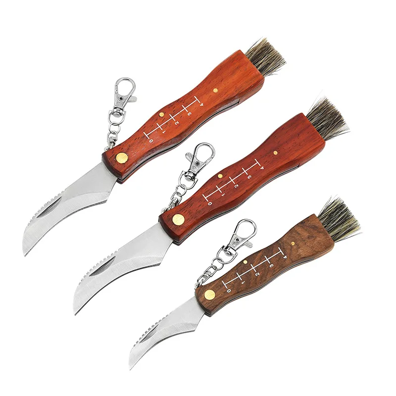 Professional Folding Mushroom Hunting Knife Fungus Truffles Harvest Sharp Knives Natural Wood Handle Pocket Knife with Brush