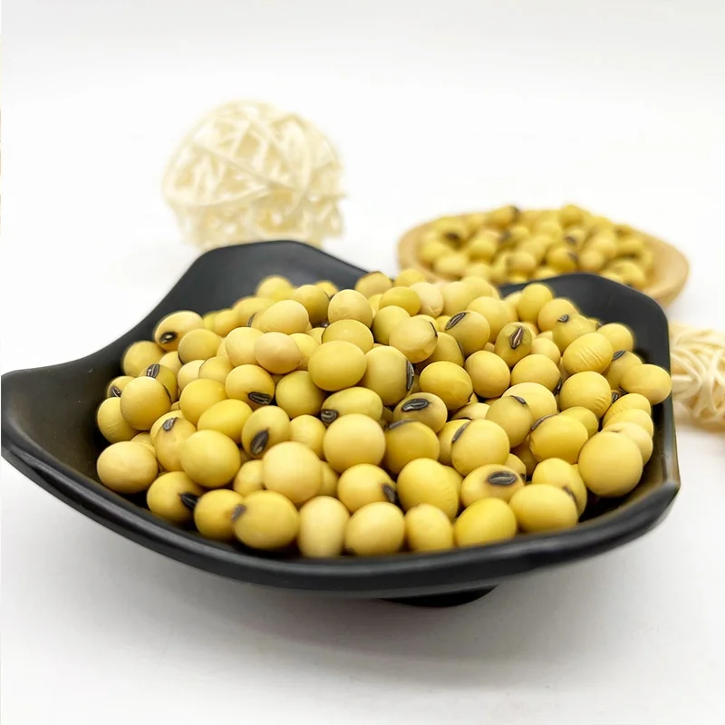 Non-GMO High Grade Good Quality Soy Beans Raw Soybean Grain Organic Bulk Soybean Seeds For Food