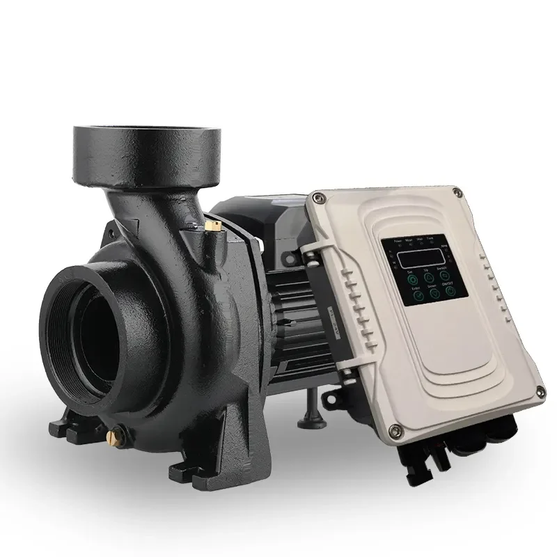 200w 500w 900w 1200w Solar pool pump with solar panels brushless swimming pool pump DC solar pool pump