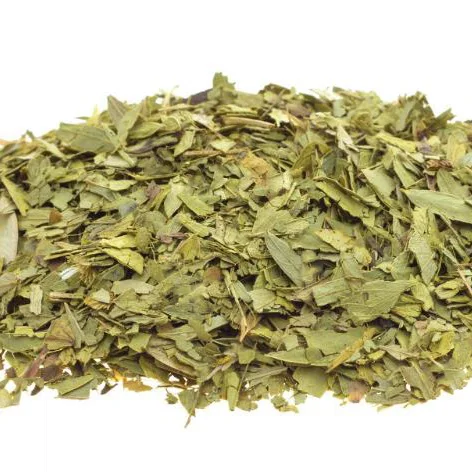 
Natural Chinese Medicine Herb of senna leaves for herbal extract 