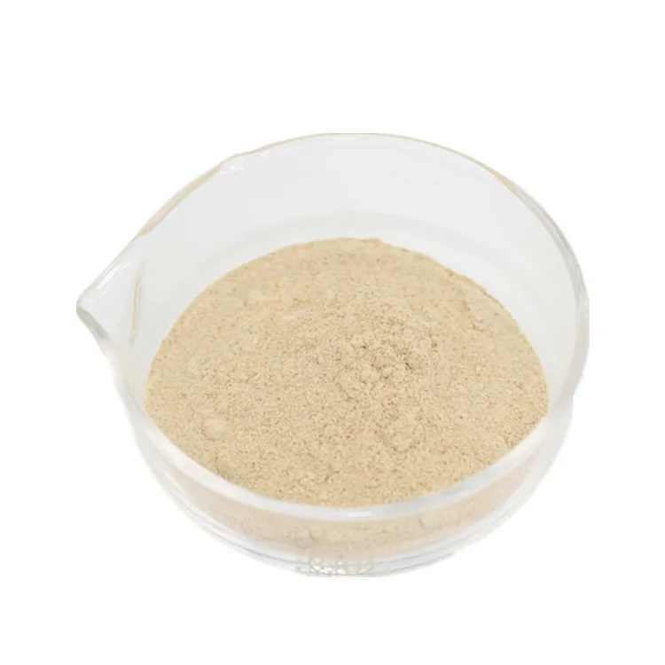 China Supply Fungal Alpha Amylase CAS 9013-1-8 Fungal Amylase Powder