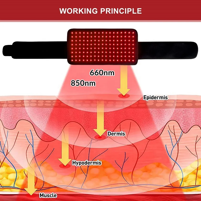 Newest Infrared Therapy Lights Led Therapy PDT Back Pain Relief Product