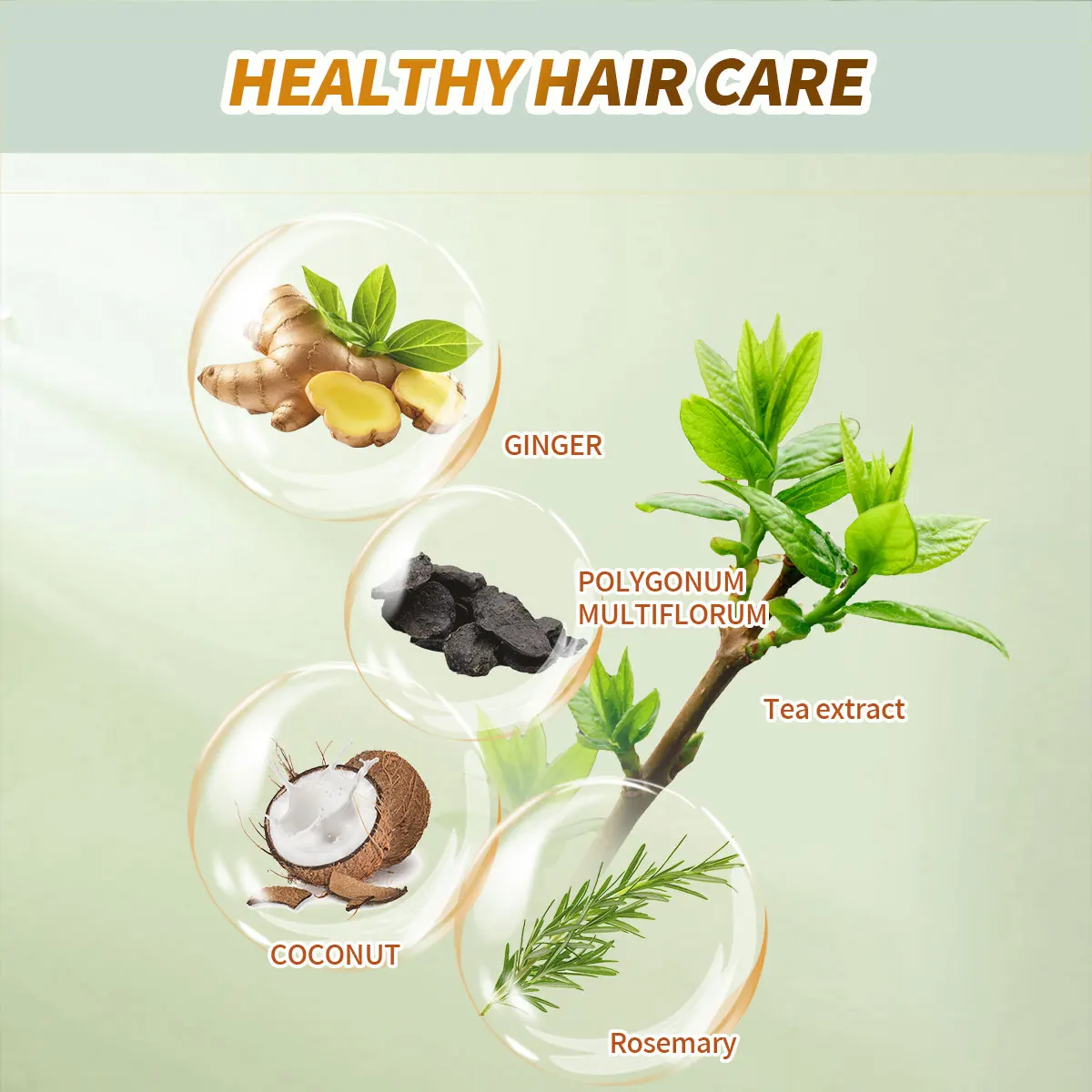 Private Label Vegan Ginger Shampoo Conditioner Organic Collagen Anti-Hair Loss Set Nourishing Moisturizing Smoothing Adults