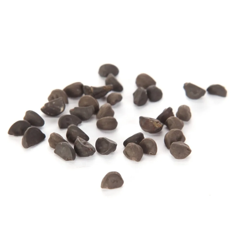 Поставка, готовая к отправке, пакеты для садовых семян Petunia Grandis