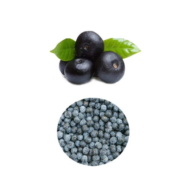 
generally healthy food Euterpe oleracea Extract Powder Acai Berries 