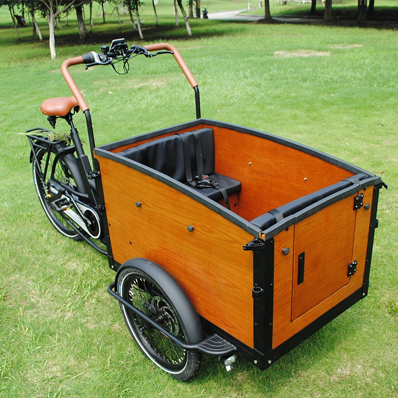 48V 250W 3 Wheel Electric Bicycle Heavy Duty Closed Cabin Delivery Bike Cargo Tricycle For Sale