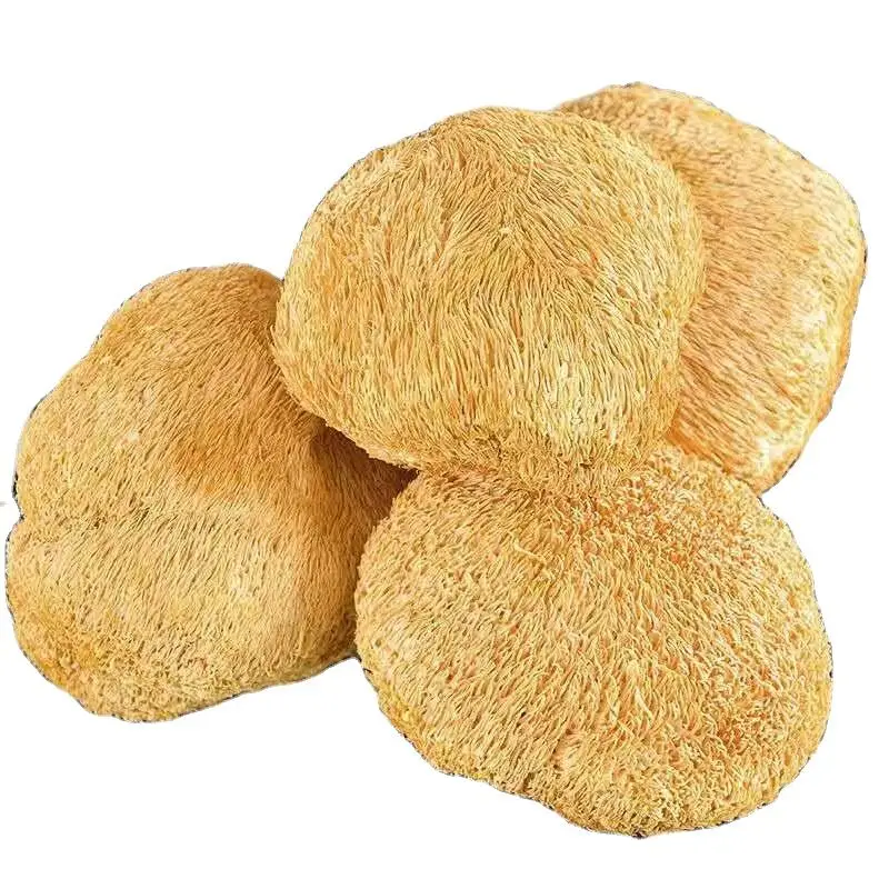 Organic Hericium Erinaceus Mushroom Extract The Rare Edible Dried Lions Mane Mushroom