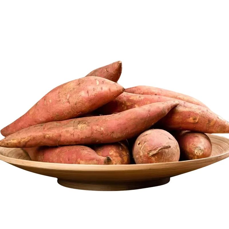 Fertile Sandy Soil Planting Fresh Sweet Purple Potatoes Best Quality Fresh Sweet Potatoes