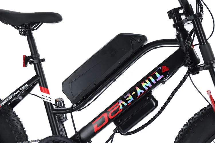 20 Inch  Electric Bicycle Fat Tire Power Assisted Bicycle Beach Lithium Electric Snowmobile