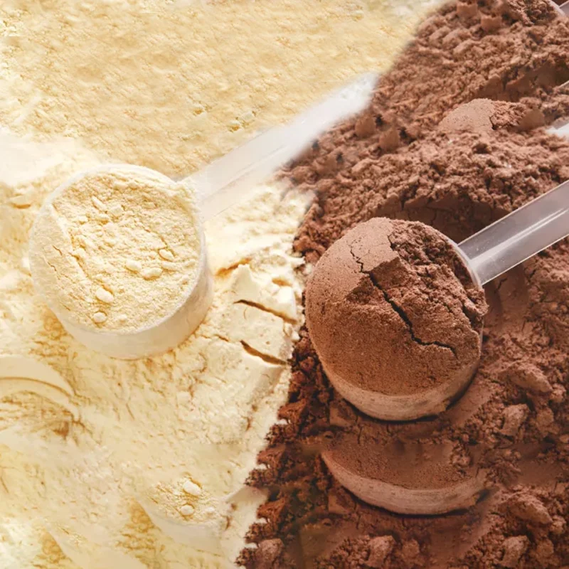 High Quality OEM Double Chocolate 100% Whey Protein Concentrate Separation Gold Standard Sport Best Whey protein Powder