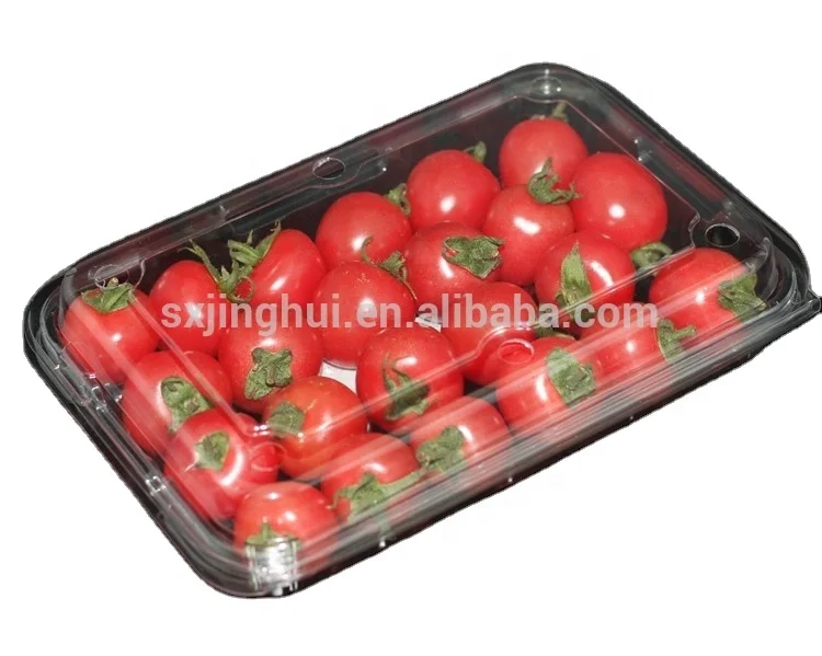 China supplier disposable plastic fruit container
