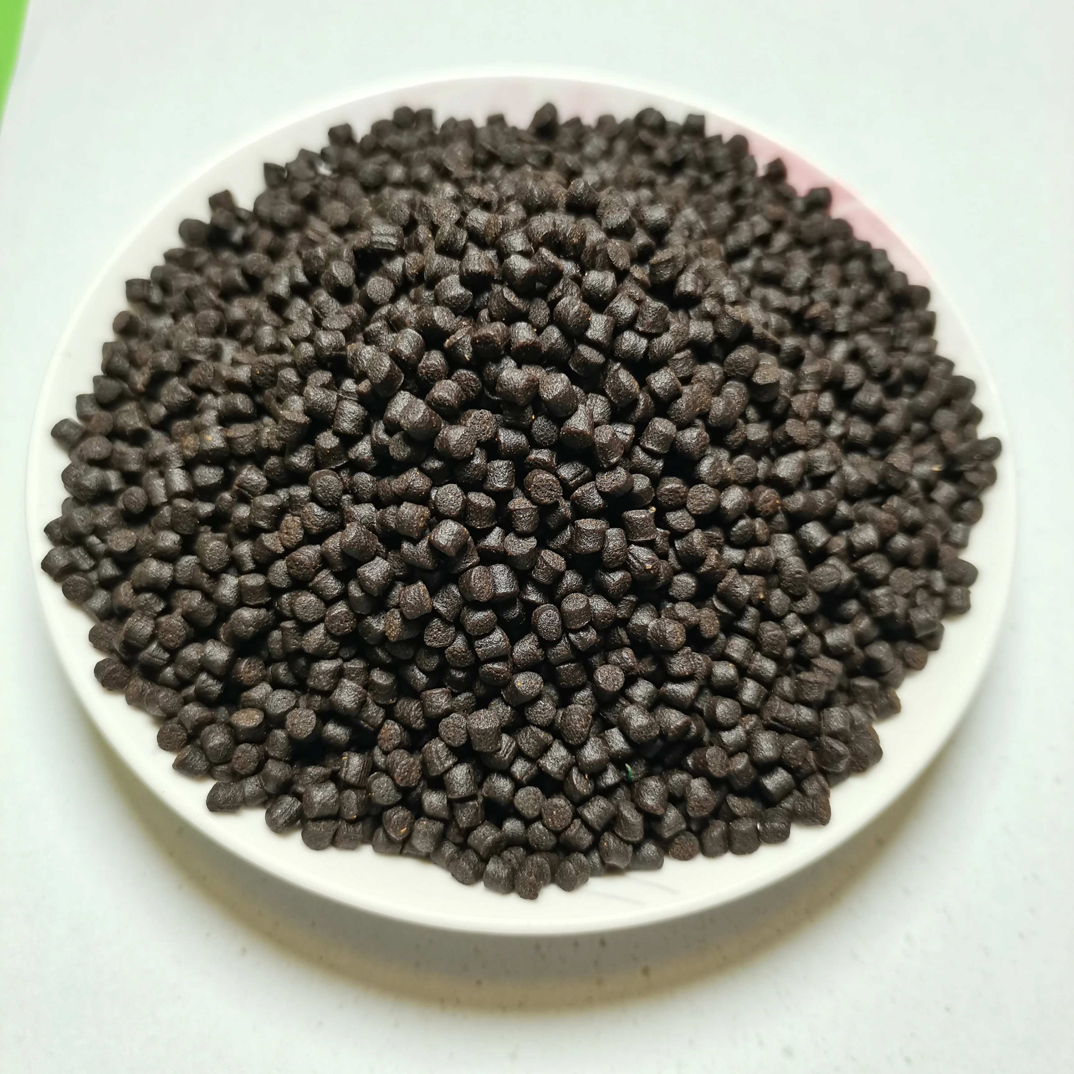 Neoceratodus forsteri feed Barramundi feed