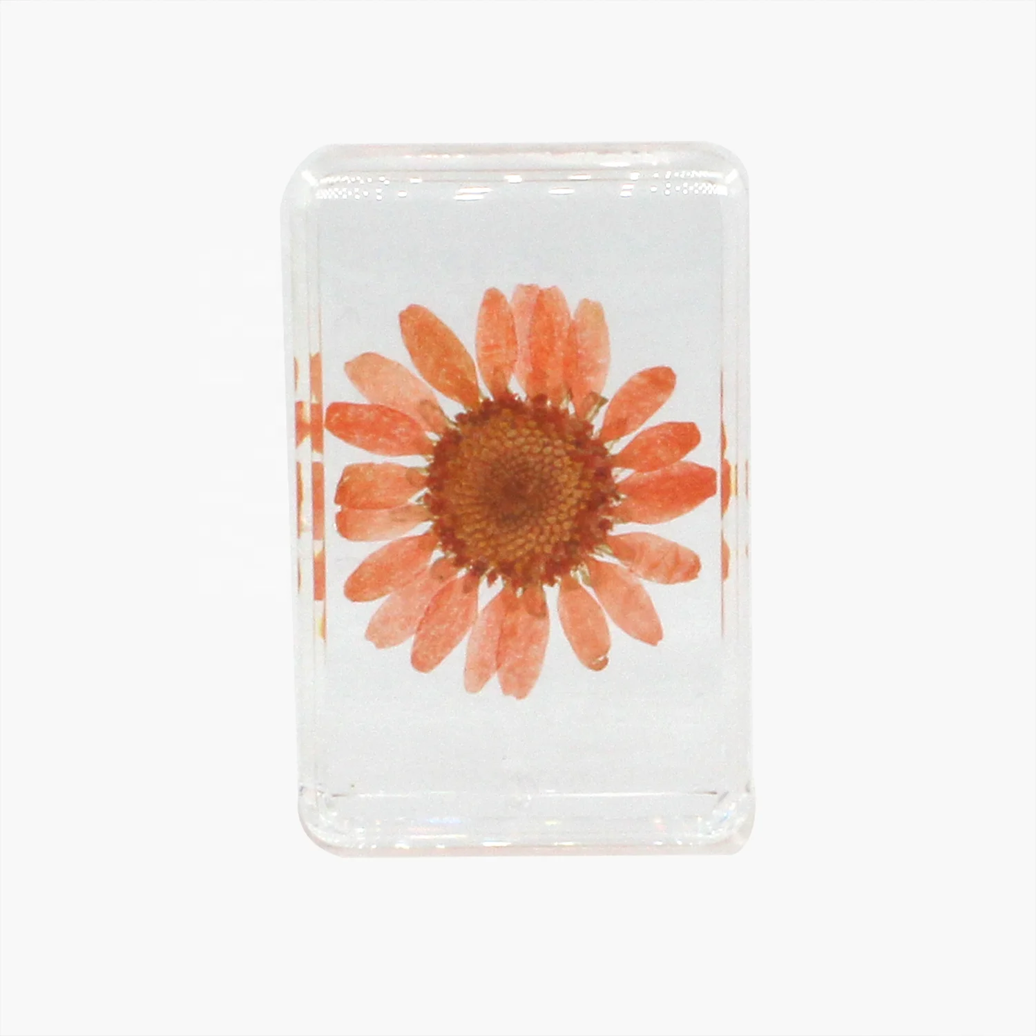 Nature botanical specimen epoxy resin flower paperweight lucite unique decor crystal craft