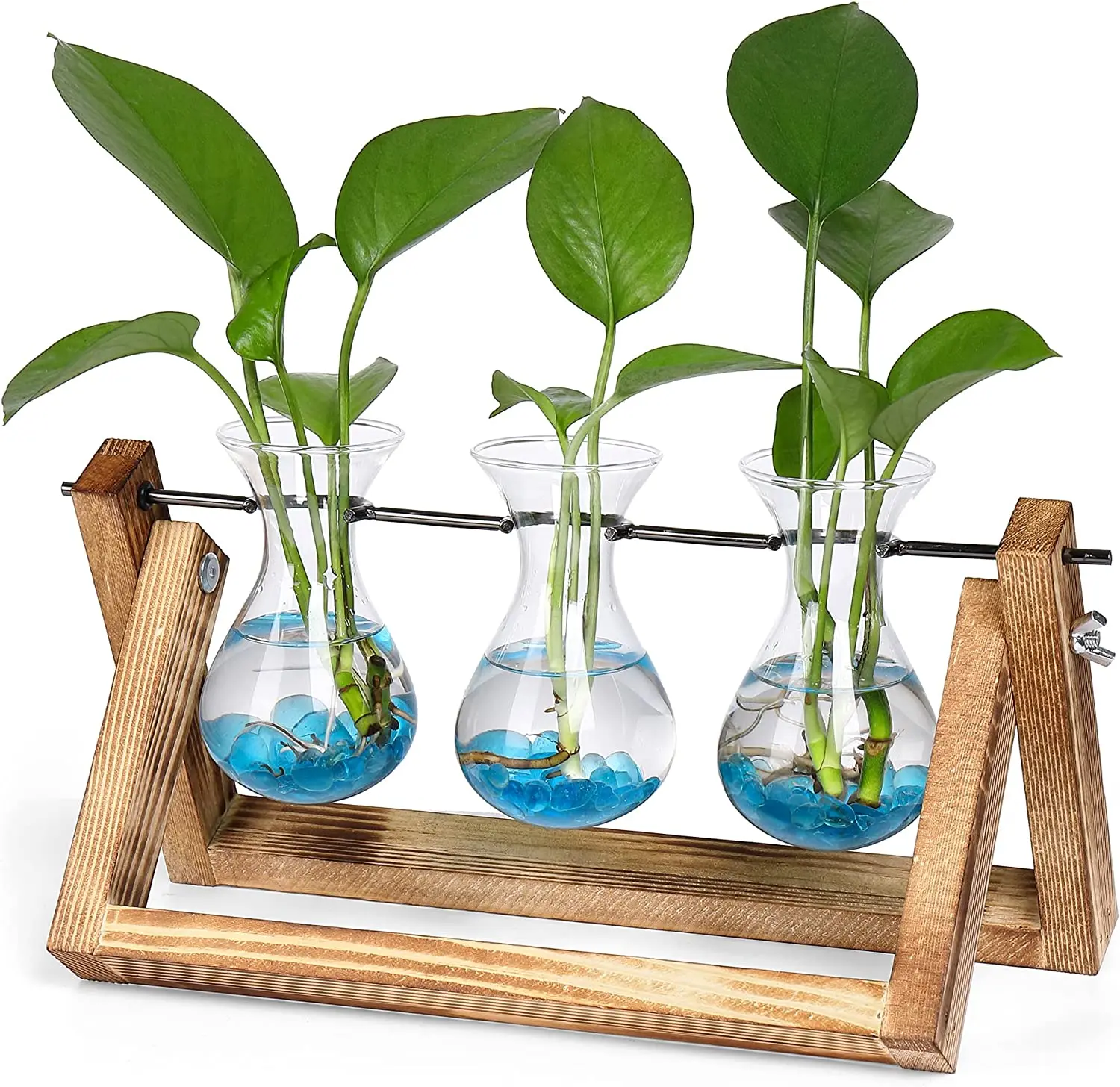 Garden Office Decoration AirPlants plant terrarium with wooden stand and bulb glass vase