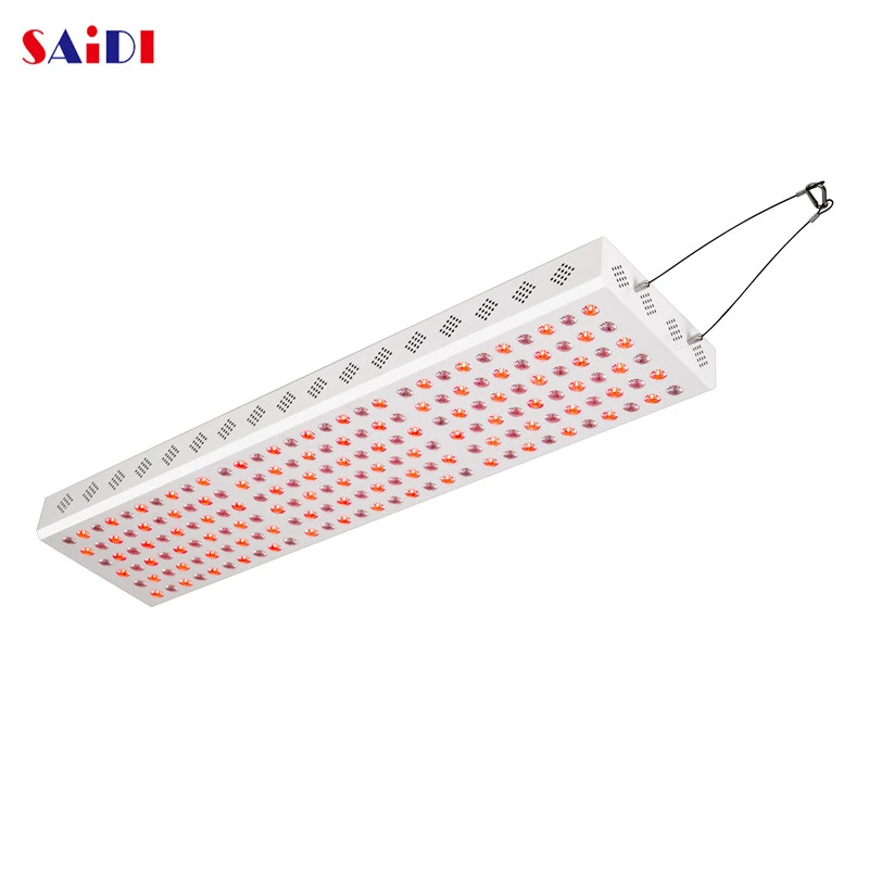 Sauna LED PDT Machine Low EMF Flicker 0 Full Body Treatment NIR RED for Salon 900W Red Light Therapy 660nm 850nm