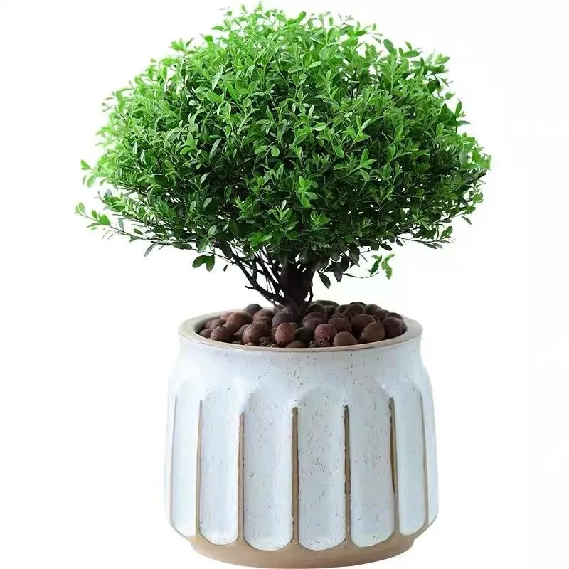 Vintage ceramic  flowerpot  succulent green plant wholesale simple creative Ceramic Vase Decoration
