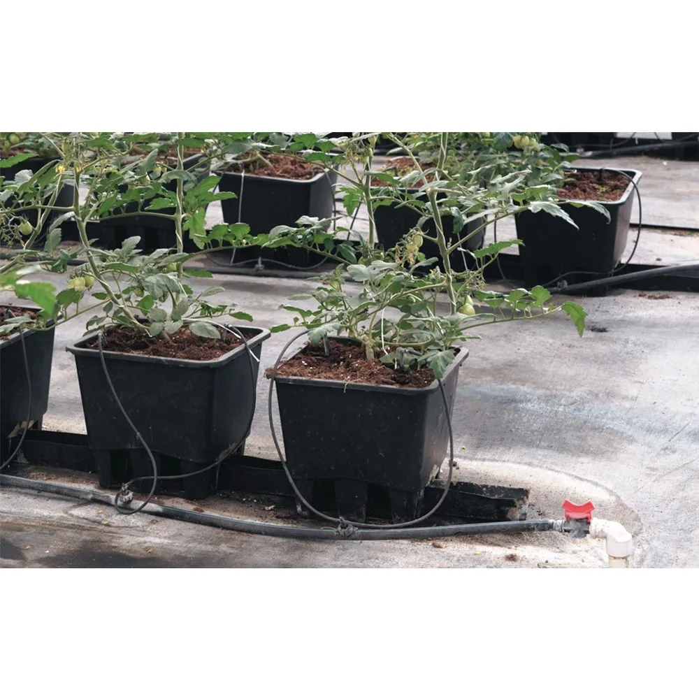 Searea Hydroponic Dutch Bucket System for growing vegetable in greenhouse Aquaponics Growing System