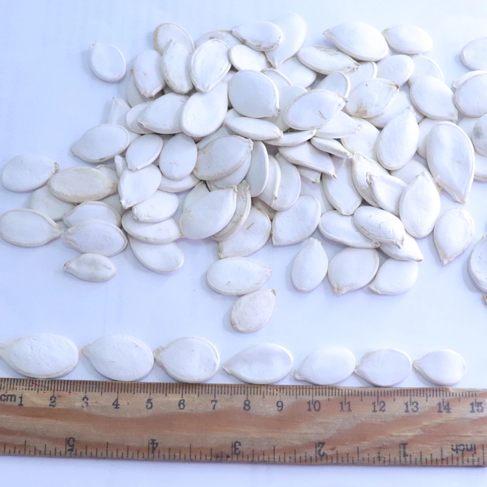 Chinese Raw Snow White pumpkin seeds price pumpkin seeds kernal 25kg pumpkin seeds