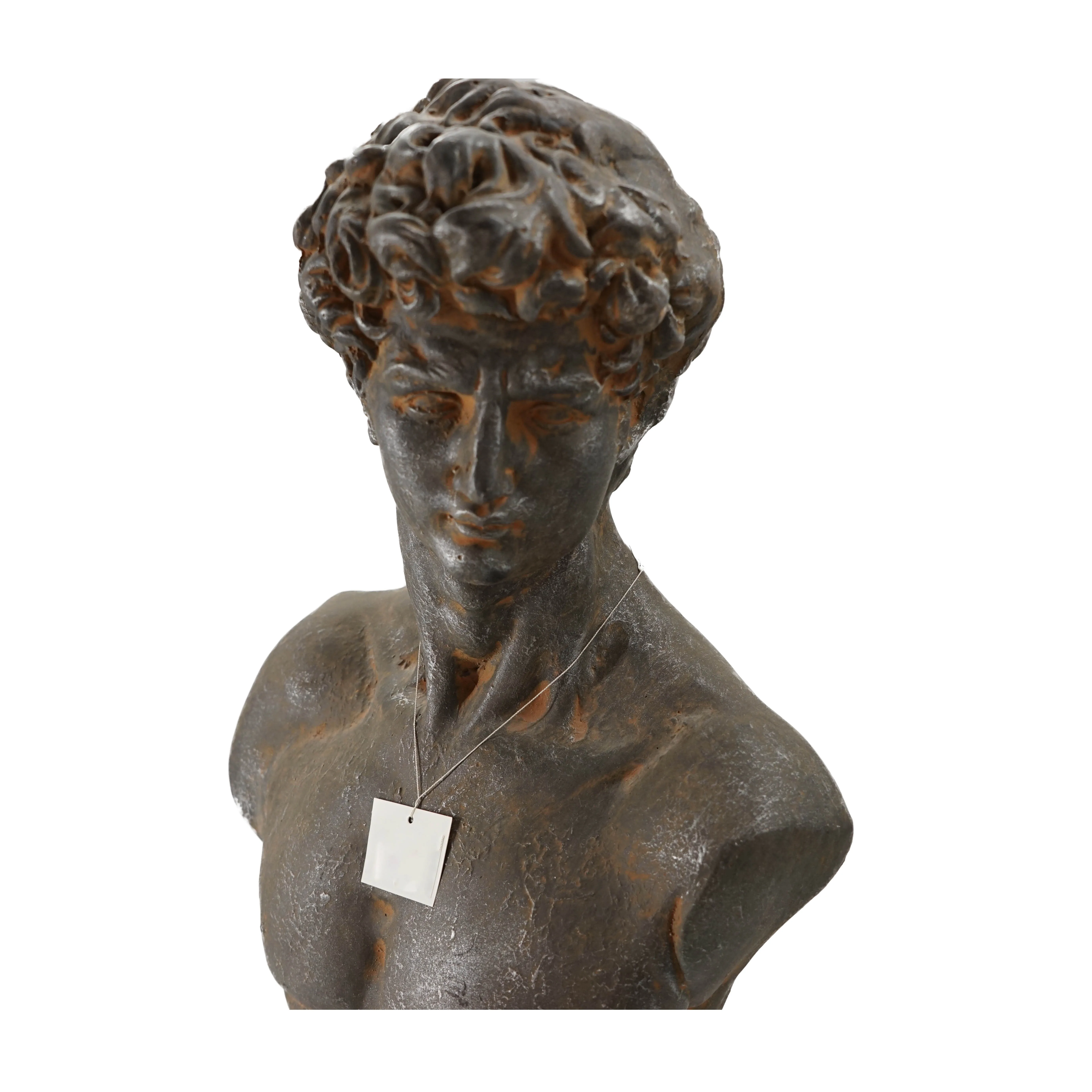 Nordic David Head Portraits Greek Mythology MGO Bust And Statue MGO Figurines Of Greek Mythological Figures