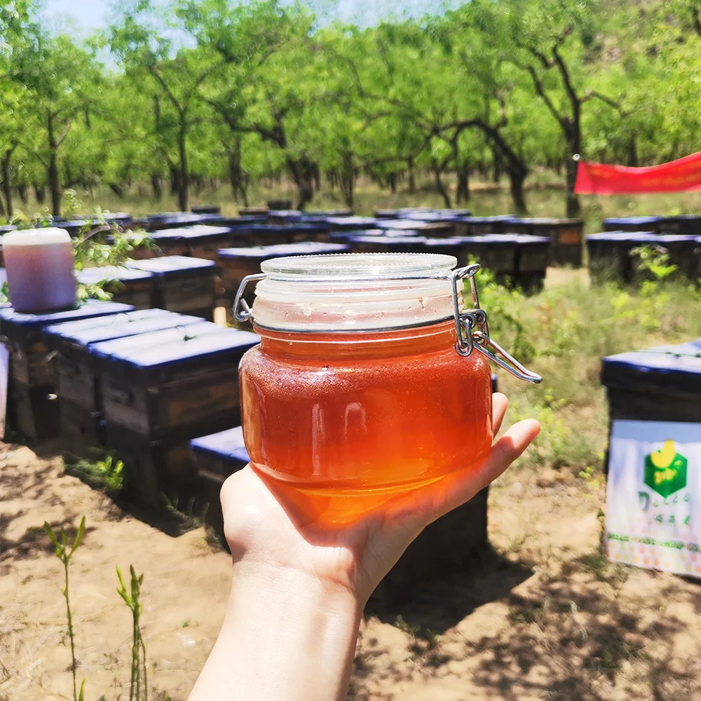 Hot selling Yemen bee honey natural sidr 28 kg gallon